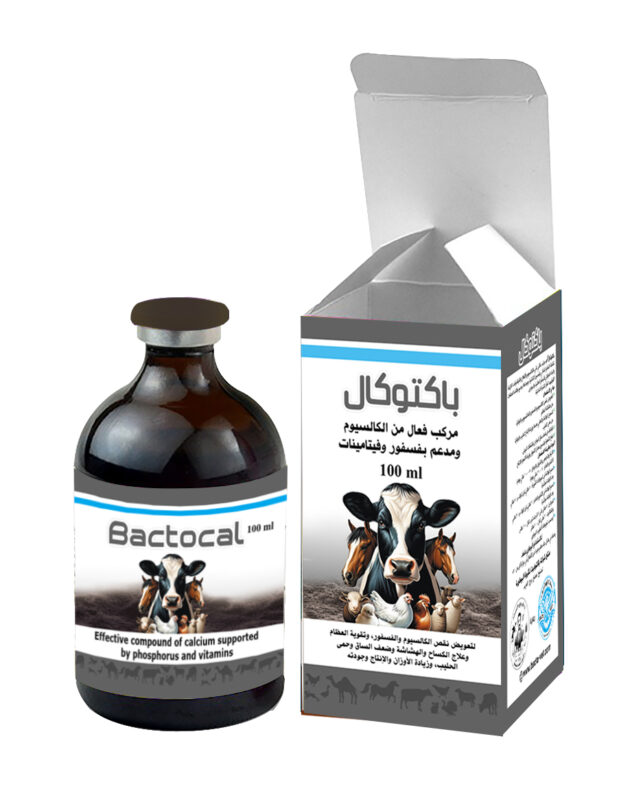 باكتوكال، هو مركب مثالي غني بالكالسيوم والأملاح والفيتامينات الممتازة، اللازمة لتكملة النظام الغذائي للأبقار والأغنام بالكالسيوم