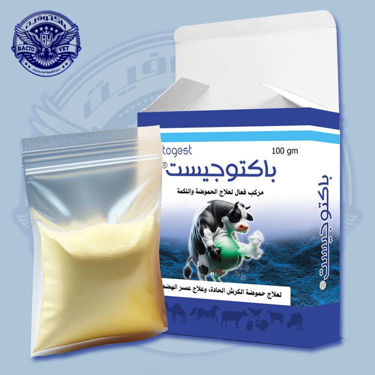 باكتوجيست-لعلاج-الحموضة-واللكمة