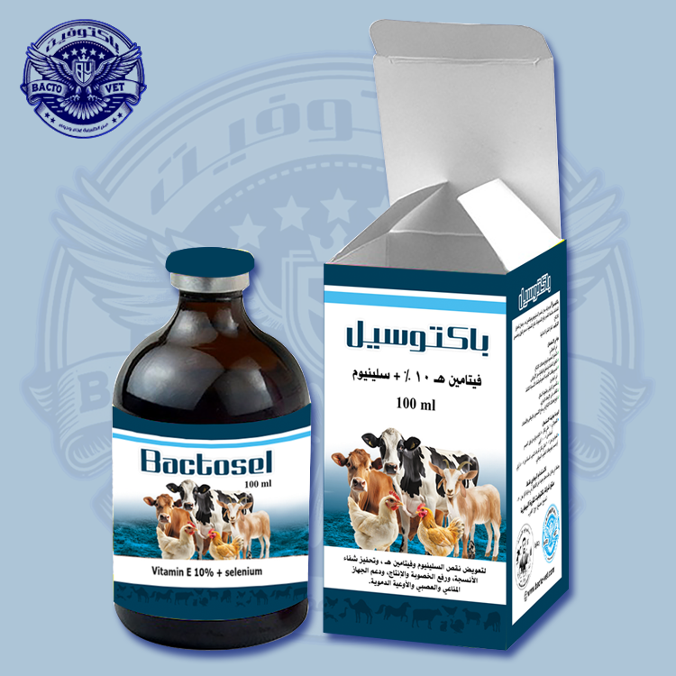 باكتوسيل-لتعويض-نقص-السلينيوم-وفيتامين-هـ-عند-المواشي