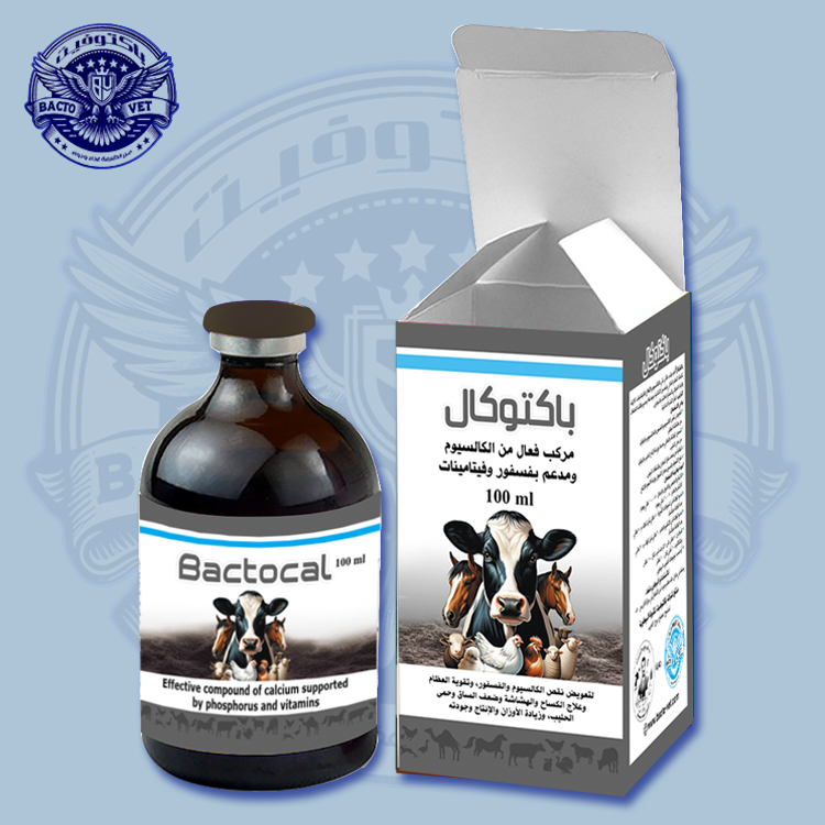 باكتوكال-لعلاج-نقص-الكالسيوم-عند-المواشي