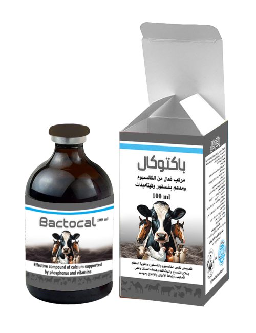 باكتوكال، هو مركب مثالي غني بالكالسيوم والأملاح والفيتامينات الممتازة، اللازمة لتكملة النظام الغذائي للأبقار والأغنام بالكالسيوم