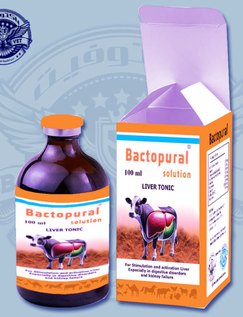 باكتوبيرال منشط كبد لتحفيز نشاط الكبد وخاصة في حالات اضطرابات الجهاز الهضمي والفشل الكلوي