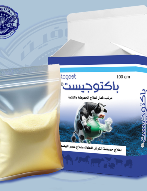 باكتوجيست-لعلاج-الحموضة-واللكمة