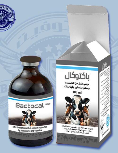 باكتوكال-لعلاج-نقص-الكالسيوم-عند-المواشي