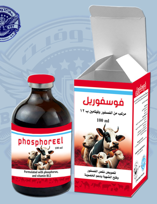 فسفوريل-لتعويض-نقص-الفسفور-عند-المواشي